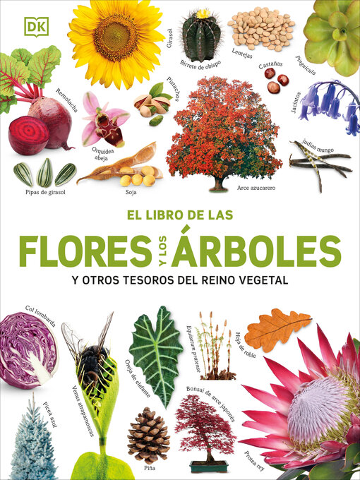 Cover image for El Libro de las flores y los árboles (Our World in Pictures: Trees, Leaves, Flowers & Seeds)